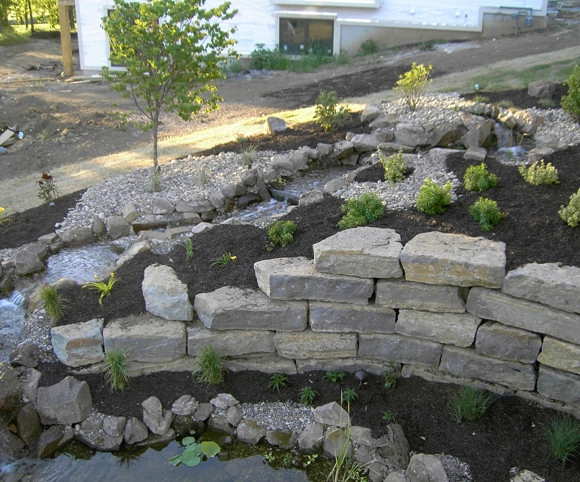 Plantings by Prestige One Landscaping - Photo 13