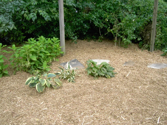 Prestige One Landscaping - Photo 10