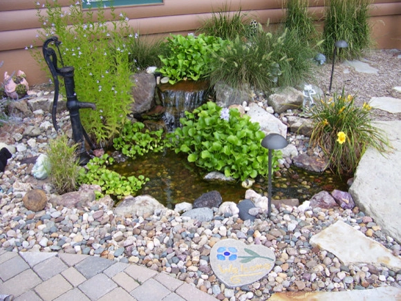 Backyard Ponds by Prestige One Landscaping - Photo 3
