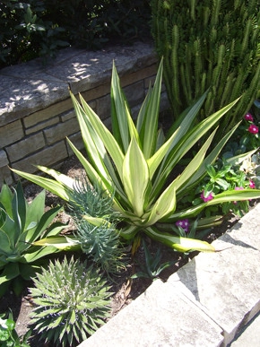 Plantings by Prestige One Landscaping - Photo 2