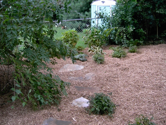 Plantings by Prestige One Landscaping - Photo 15