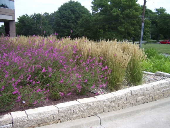 Plantings by Prestige One Landscaping - Photo 8