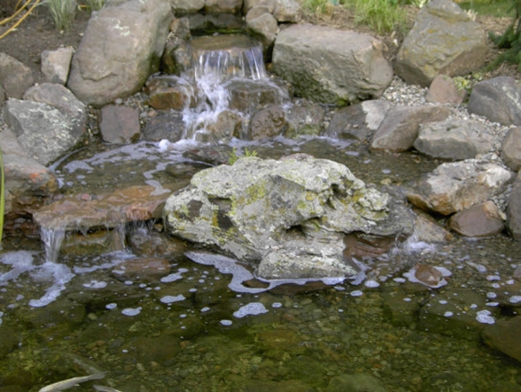 Backyard Ponds by Prestige One Landscaping - Photo 12