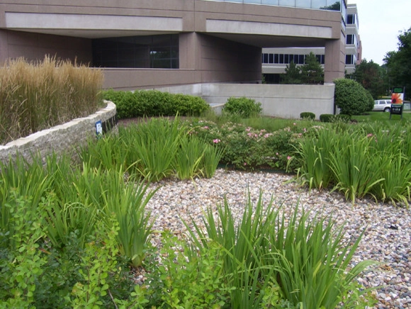 Plantings by Prestige One Landscaping - Photo 3