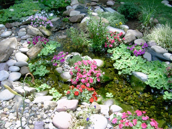 Plantings by Prestige One Landscaping - Photo 7