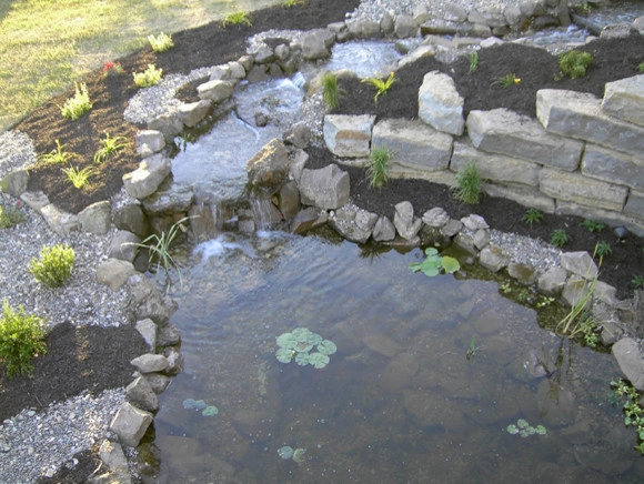 Backyard Ponds by Prestige One Landscaping - Photo 8