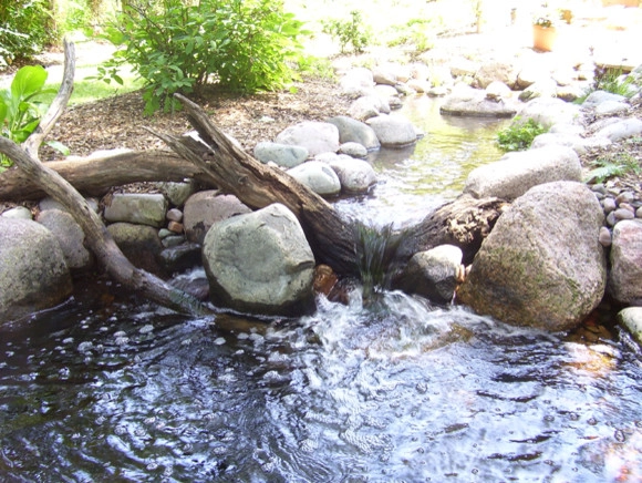 Backyard Ponds by Prestige One Landscaping - Photo 21