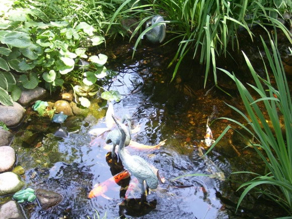 Backyard Ponds by Prestige One Landscaping - Photo 10