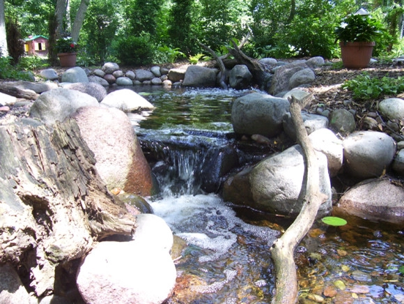 Backyard Ponds by Prestige One Landscaping - Photo 17