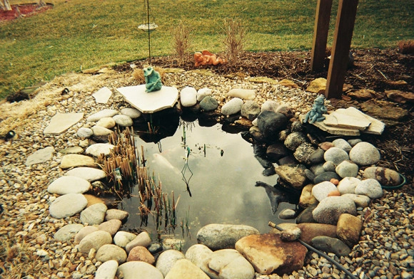 Backyard Ponds by Prestige One Landscaping - Photo 5