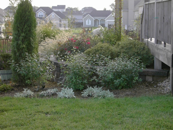 Plantings by Prestige One Landscaping - Photo 5