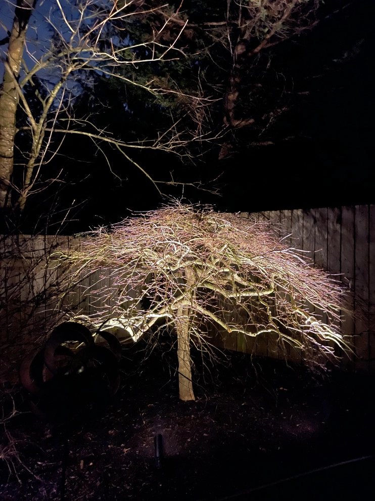 Primal Outdoor Lighting & Design - Photo 2