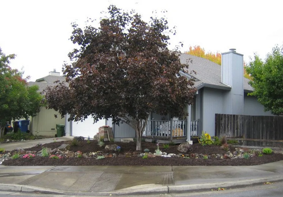 Eco-Friendly Water Conservation by Tarantino's Yardscapes - Photo 4