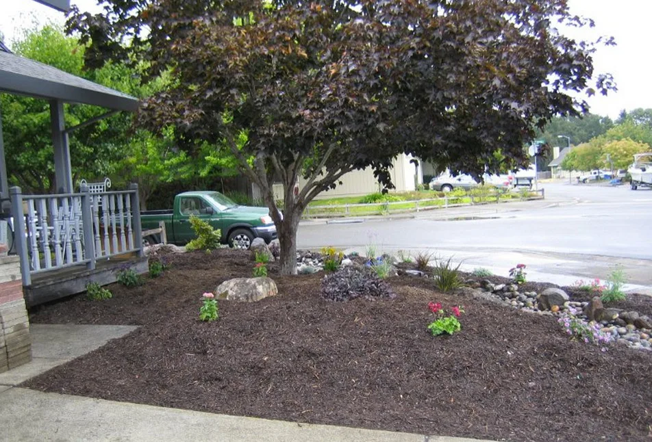 Eco-Friendly Water Conservation by Tarantino's Yardscapes - Photo 6