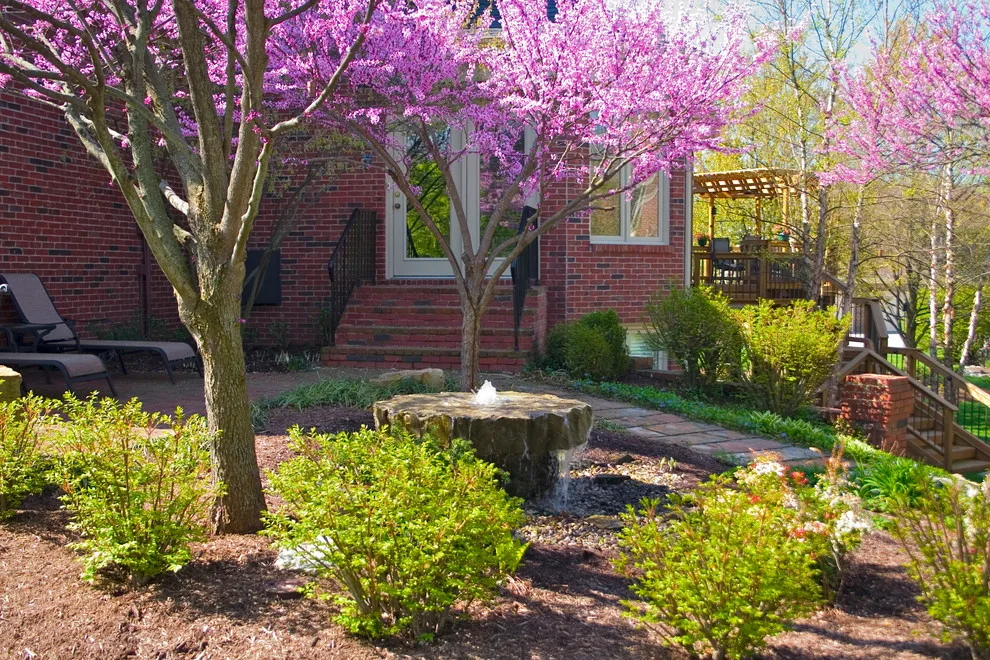 Aquatic Landscapes by American Deck & Sunroom Co. - Photo 8