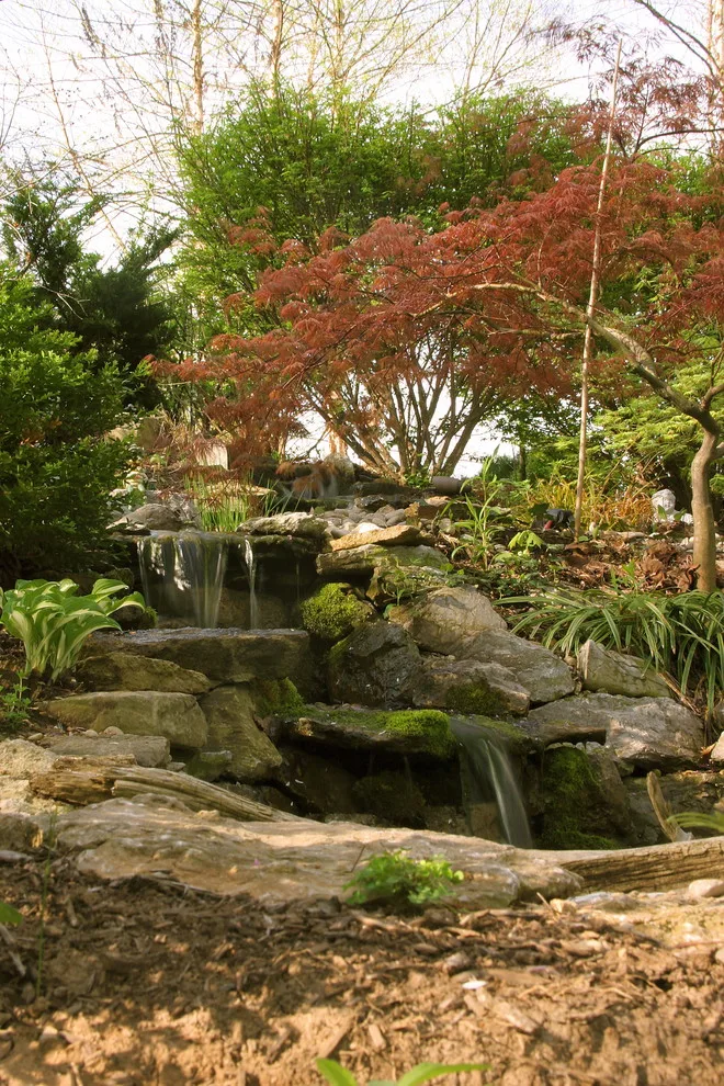 Aquatic Landscapes by American Deck & Sunroom Co. - Photo 18