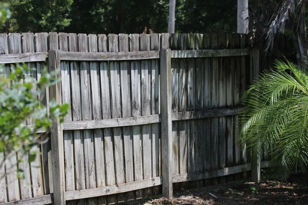 Renew Crew Of Palm Beach County - Photo 5