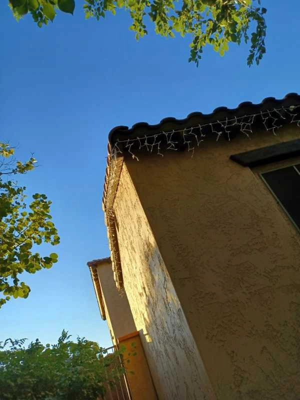 Wilfer Natural Landscape LLC2 by PRO Natural Landscape LLC - Photo 20