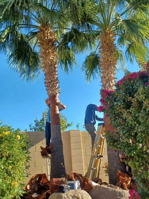 Wilfer Natural Landscape LLC3 by PRO Natural Landscape LLC - Photo 96
