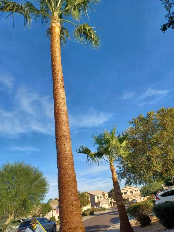 Wilfer Natural Landscape LLC3 by PRO Natural Landscape LLC - Photo 19