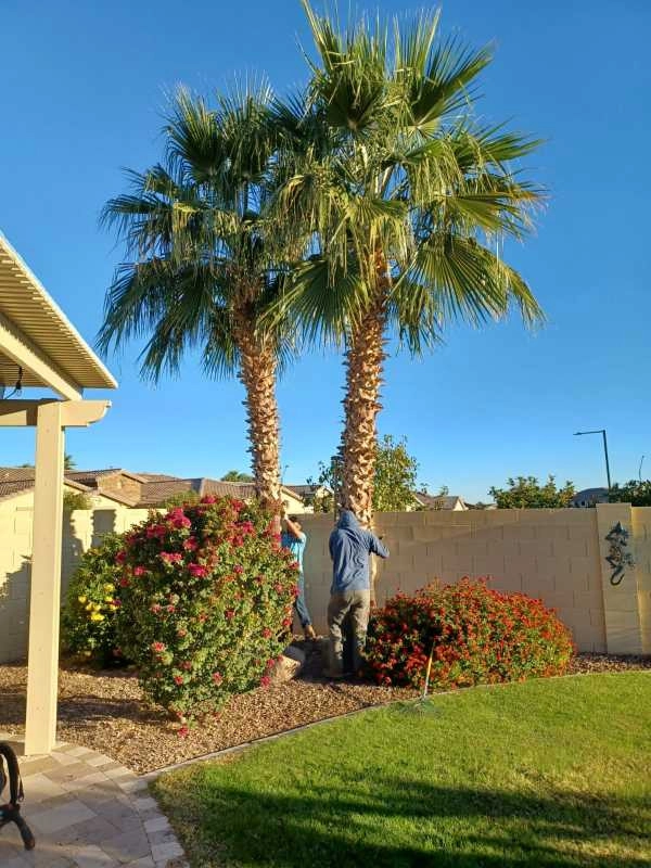 Wilfer Natural Landscape LLC3 by PRO Natural Landscape LLC - Photo 75
