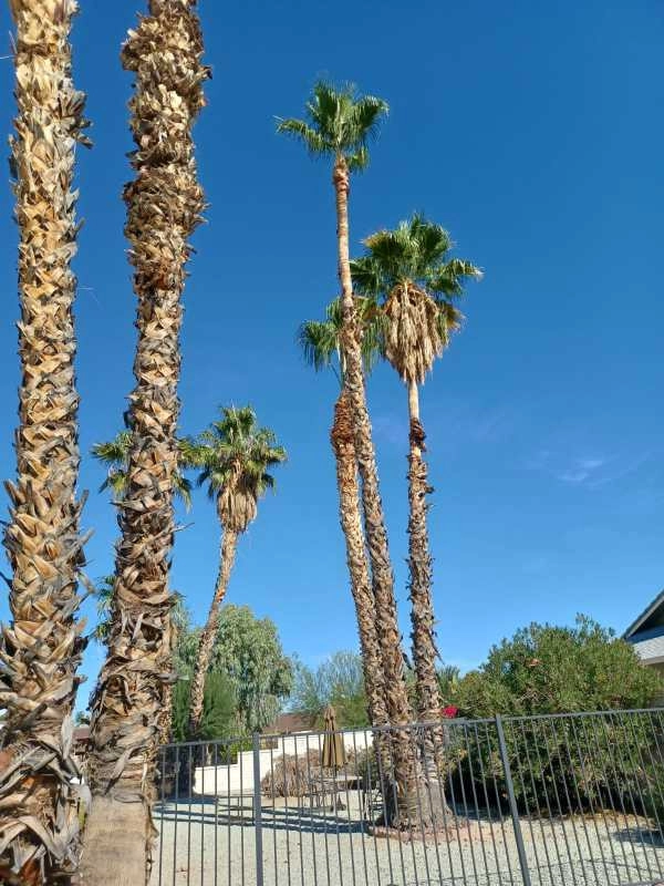 Wilfer Natural Landscape LLC3 by PRO Natural Landscape LLC - Photo 60