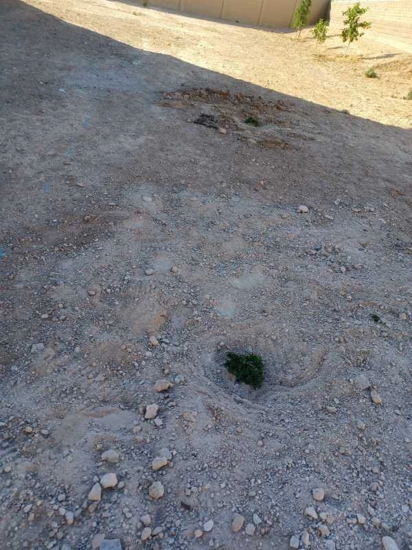 Wilfer Natural Landscape LLC3 by PRO Natural Landscape LLC - Photo 70