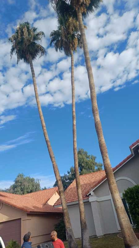 Wilfer Natural Landscape LLC3 by PRO Natural Landscape LLC - Photo 84