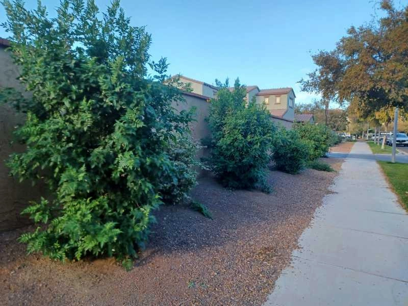Wilfer Natural Landscape LLC1 by PRO Natural Landscape LLC - Photo 52