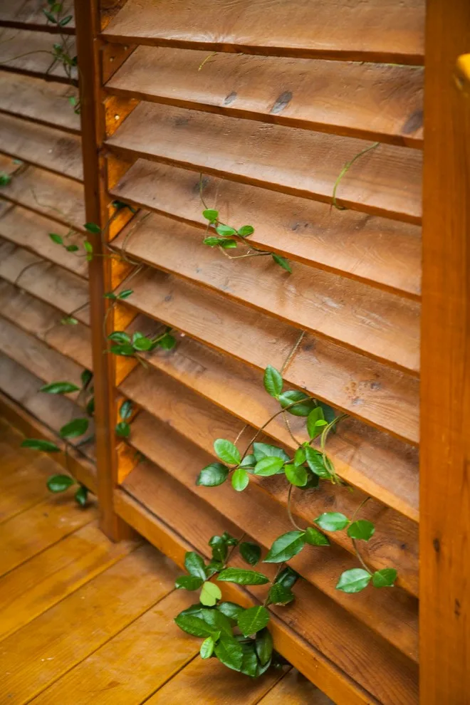 Williamson by Tailor Decks, Inc. - Photo 2
