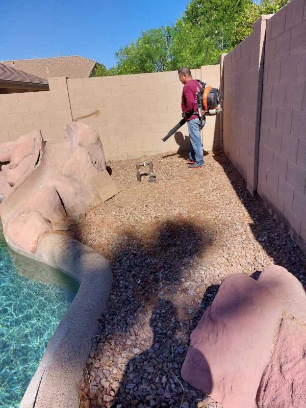 United Tree Pro Service LLC 7 by PRO Natural Landscape LLC - Photo 36