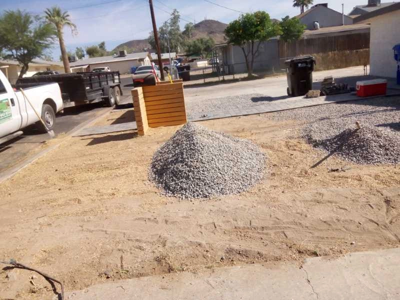 United Tree Pro Service LLC 7 by PRO Natural Landscape LLC - Photo 2