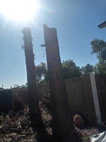 United Tree Pro Service LLC 7 by PRO Natural Landscape LLC - Photo 16