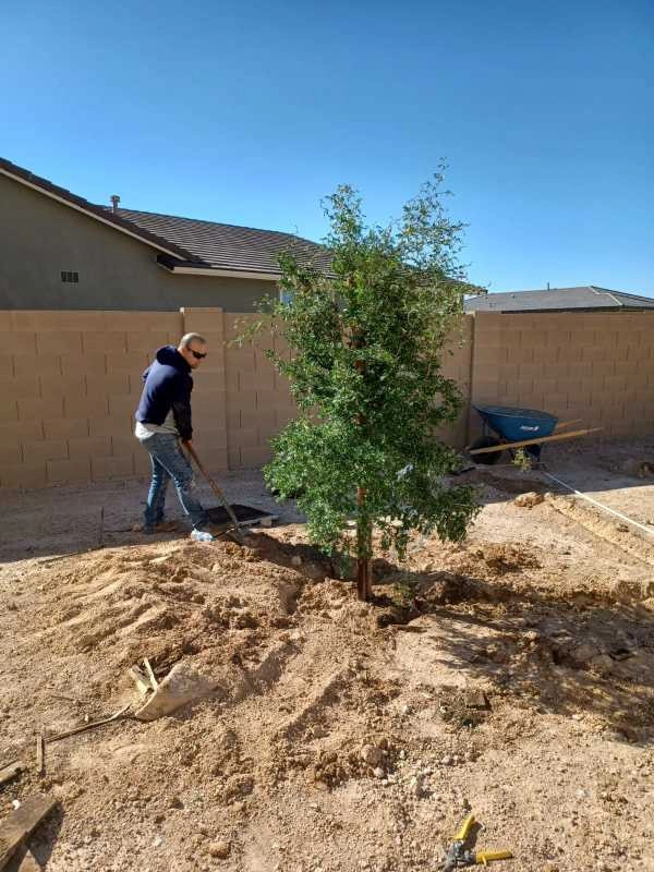 Wilfer Natural Landscape LLC3 by PRO Natural Landscape LLC - Photo 32
