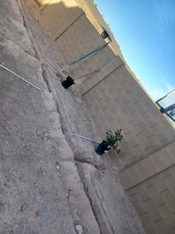 Wilfer Natural Landscape LLC3 by PRO Natural Landscape LLC - Photo 58