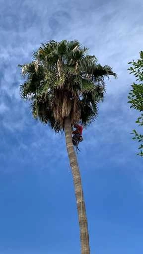 Wilfer Natural Landscape LLC3 by PRO Natural Landscape LLC - Photo 66