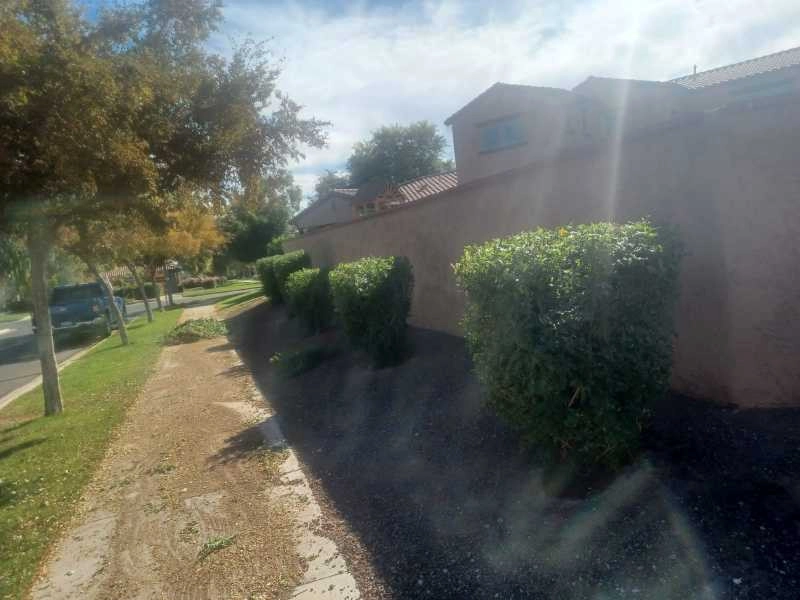 Wilfer Natural Landscape LLC1 by PRO Natural Landscape LLC - Photo 13