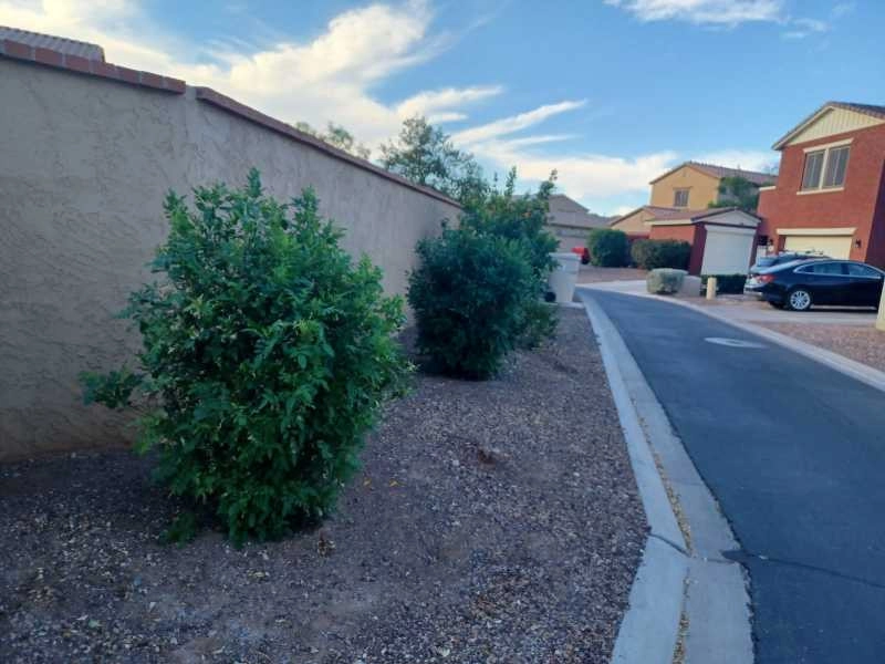 Wilfer Natural Landscape LLC1 by PRO Natural Landscape LLC - Photo 46