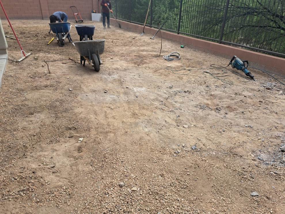 We have new paver cleaning and renovation services by PRO Natural Landscape LLC - Photo 64