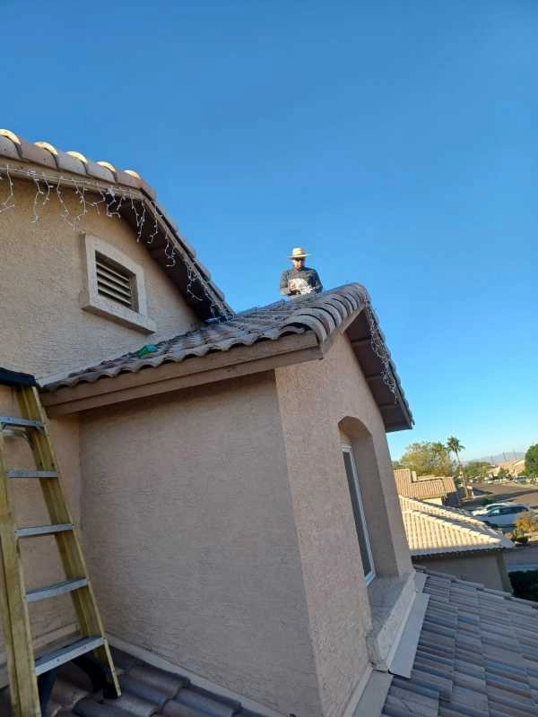 Wilfer Natural Landscape LLC2 by PRO Natural Landscape LLC - Photo 19
