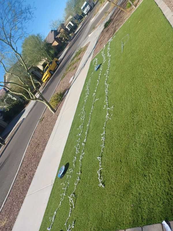 Wilfer Natural Landscape LLC2 by PRO Natural Landscape LLC - Photo 24