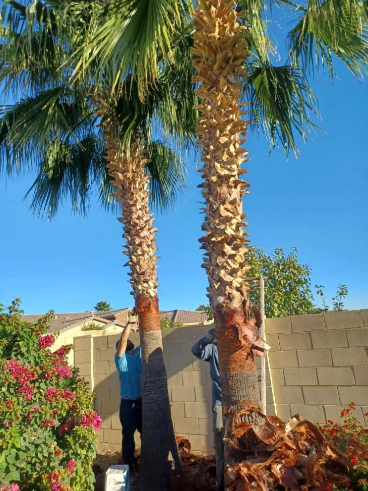 Wilfer Natural Landscape LLC3 by PRO Natural Landscape LLC - Photo 86
