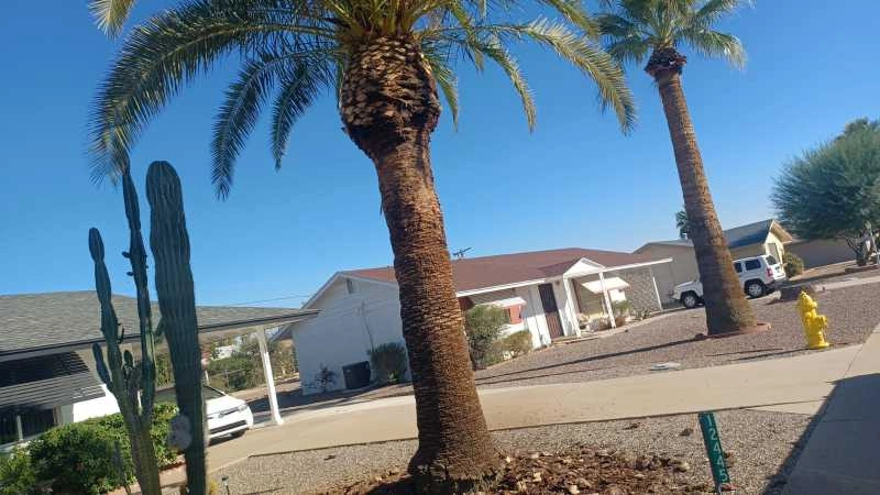 Wilfer Natural Landscape LLC3 by PRO Natural Landscape LLC - Photo 7