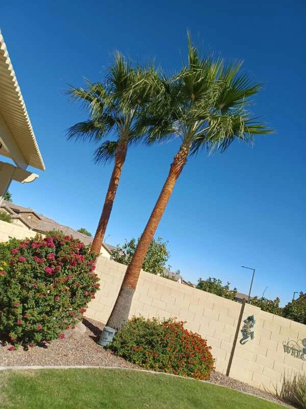 Wilfer Natural Landscape LLC3 by PRO Natural Landscape LLC - Photo 93