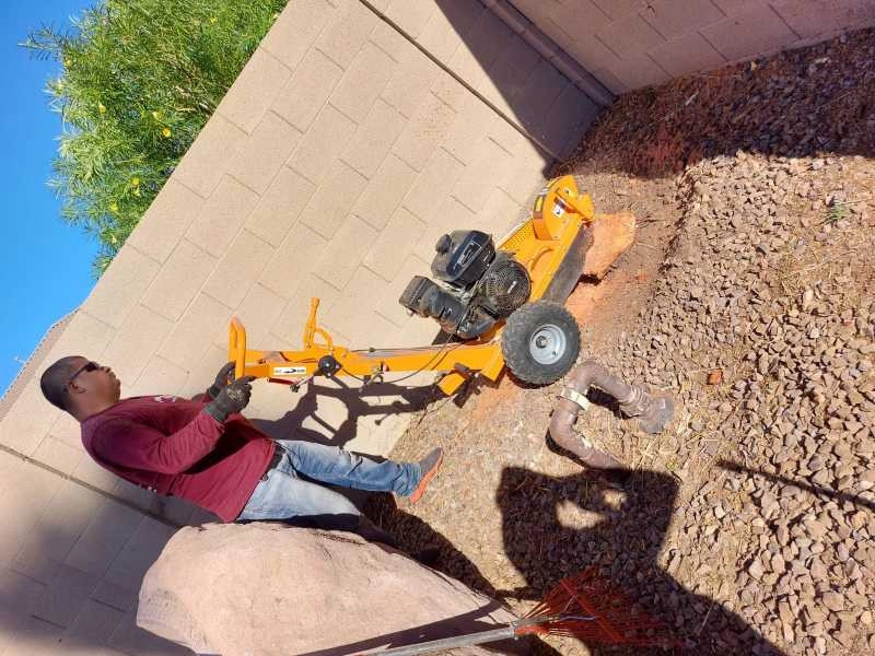 United Tree Pro Service LLC 7 by PRO Natural Landscape LLC - Photo 42