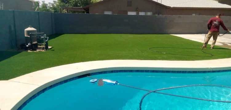 United Tree Pro Service LLC 7 by PRO Natural Landscape LLC - Photo 43