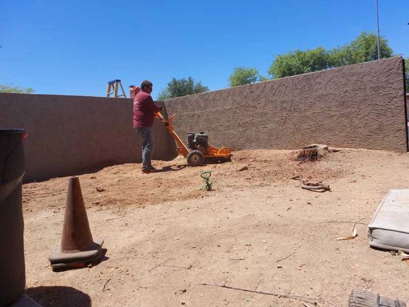 United Tree Pro Service LLC 7 by PRO Natural Landscape LLC - Photo 53
