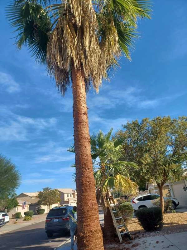 Wilfer Natural Landscape LLC3 by PRO Natural Landscape LLC - Photo 90