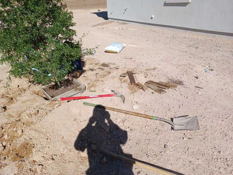 Wilfer Natural Landscape LLC3 by PRO Natural Landscape LLC - Photo 46