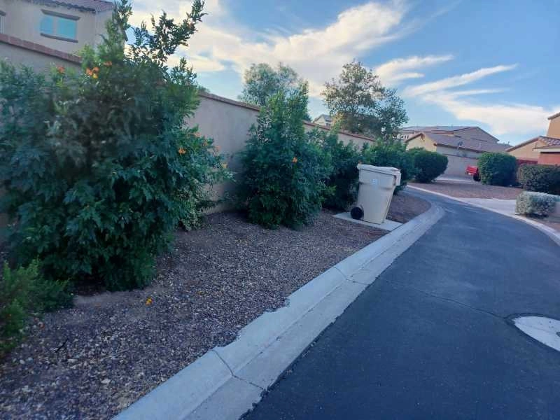 Wilfer Natural Landscape LLC1 by PRO Natural Landscape LLC - Photo 55